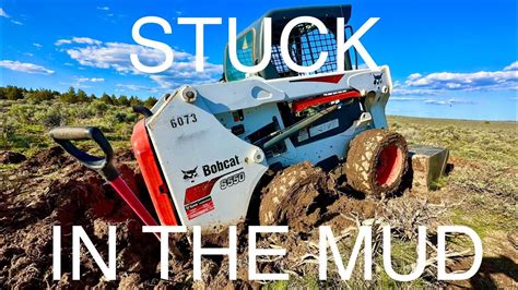 skid steer stuck in bush